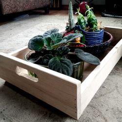 Planter Tray
