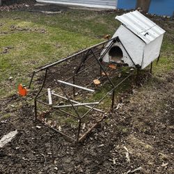 Chicken Coop 
