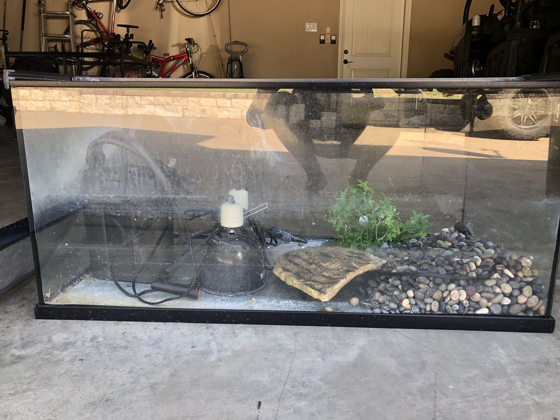 40 Gallon Fish/Turtle Tank