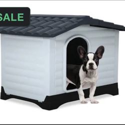 Dog House