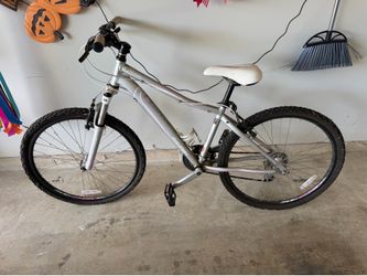 Mountain bike