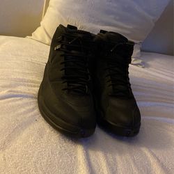 Winterized Jordan 12 Size 11.5