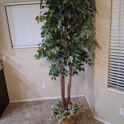 Faux Plant 
