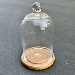Glass Cloche Dome Bell Jar Display Case Wooden Base Apothecary 10.5"