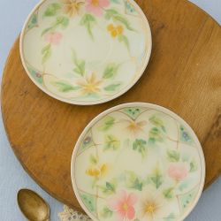 Japanese Vintage 1950s 2 Floral Moriage Porcelain Desser/Bread Plates, 5.5”