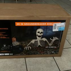 35 in Groundbreaker skeleton 