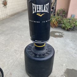 Everlast FreeStanding Heavy Bag Punching Bag With Stand