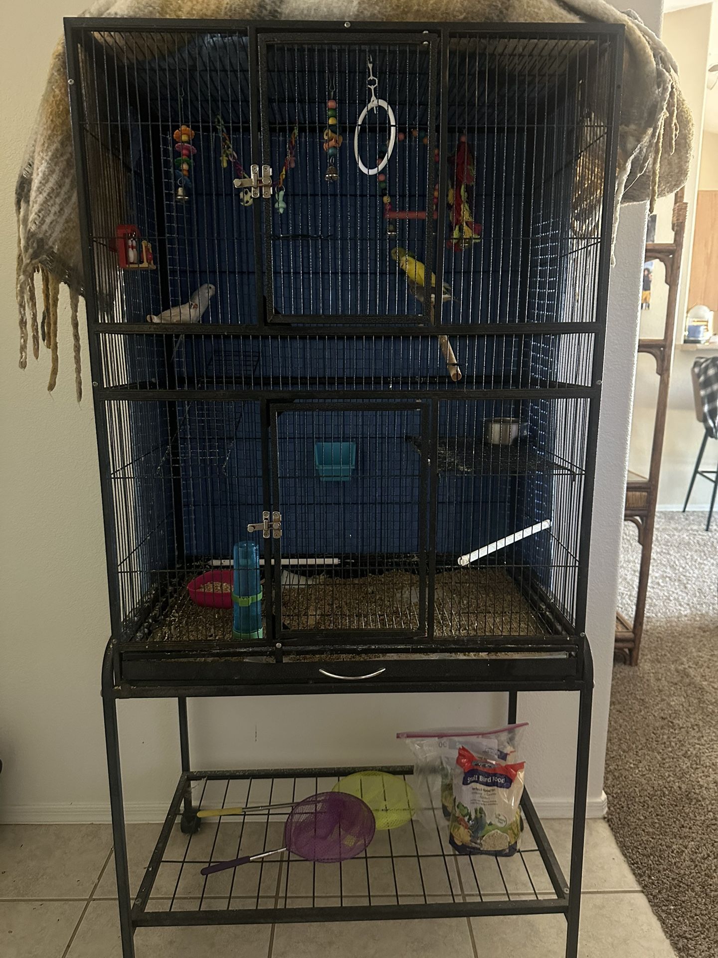 Bird Cage