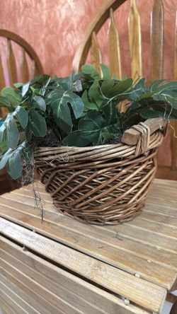 Small Plant In A Banquet  $10.00