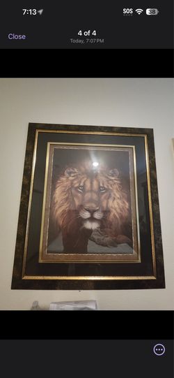 pictures