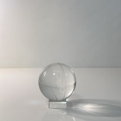 Bull Champions Ball 