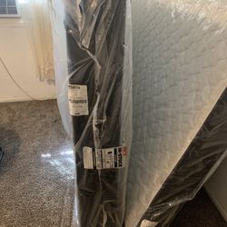 Mattress Firm Bed and Box Spring