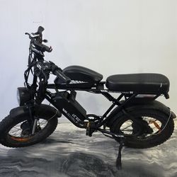 Bluvall 2 motor 2 battery ebike