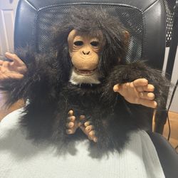 Fur Real Mechanical Monkey 