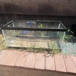 20 Gal Fish Tank