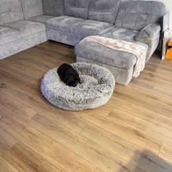 Gray ALMOST NEW Sectional !! 