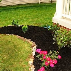 Mulching🏡🌳🌿