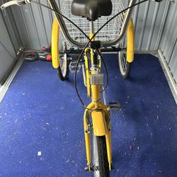 Adult Trike 