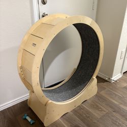 Cat Wheel 