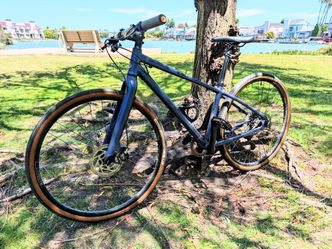 Raleigh gravel bike small size