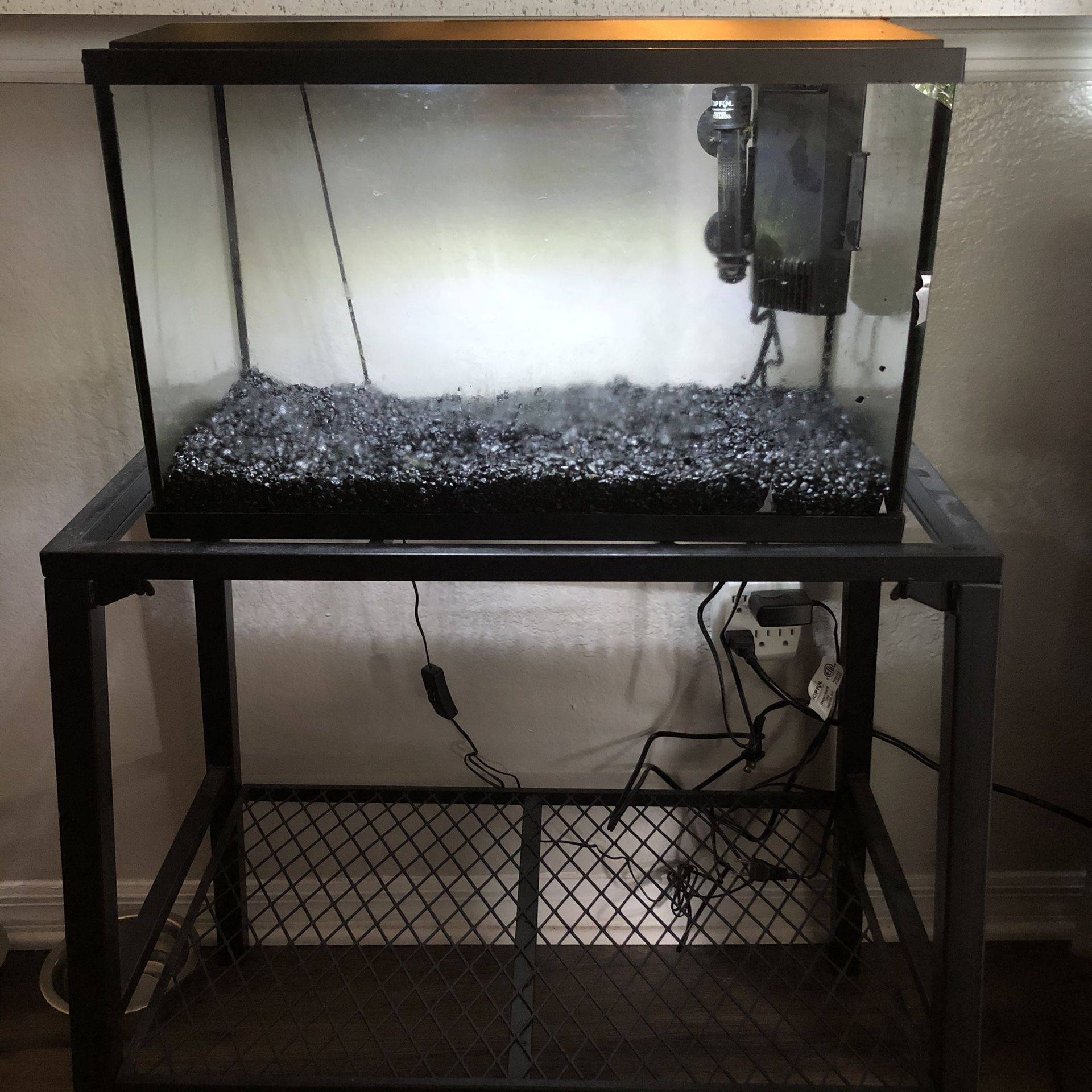 10 Gallon Fish Tank Setup