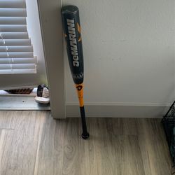 baseball bat
