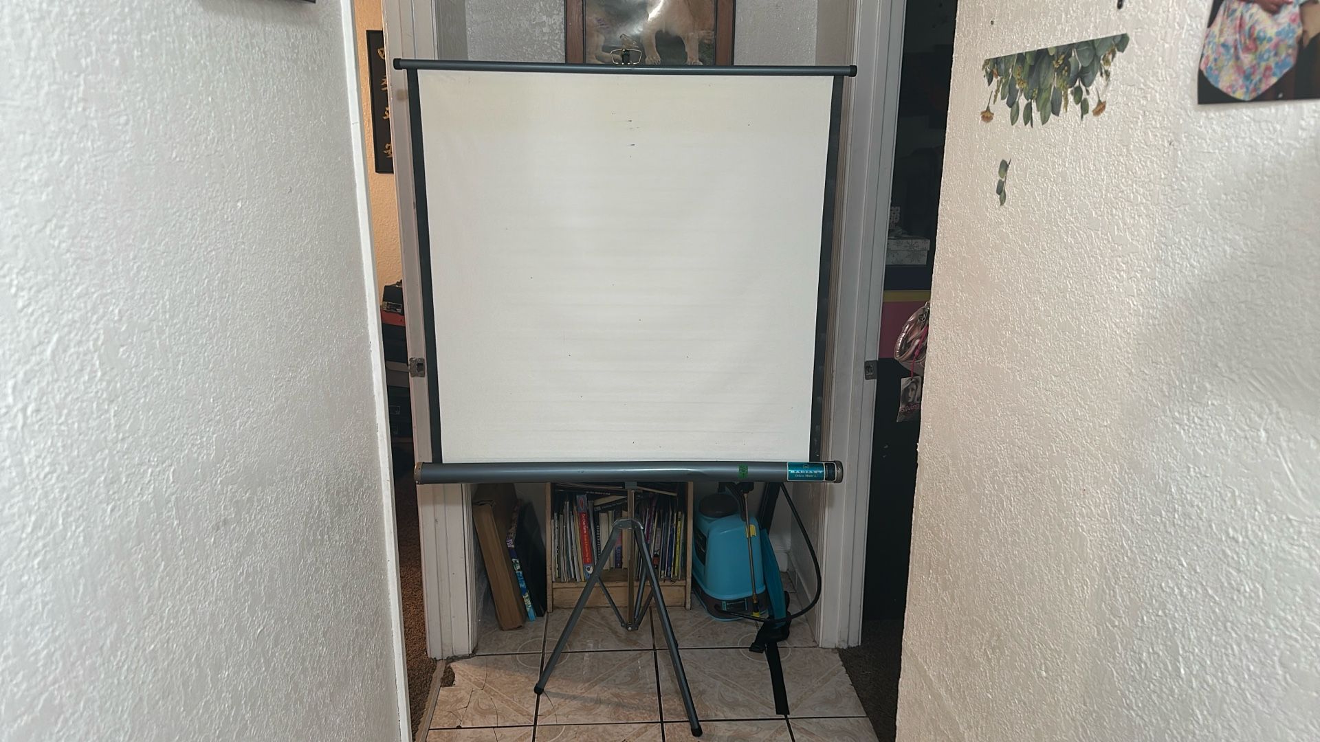 Projector Screen
