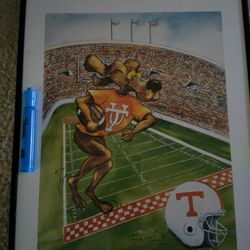 14"X17.5" in framed print of University of Tennessee football "Smokey