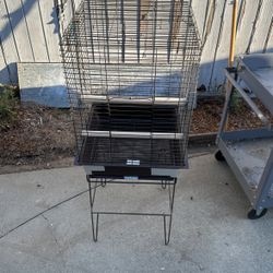 Bird Cage 