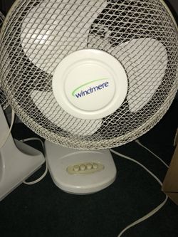 Fan