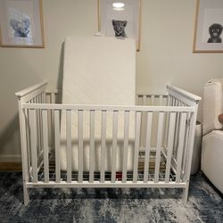 Crib & Newton Mattress