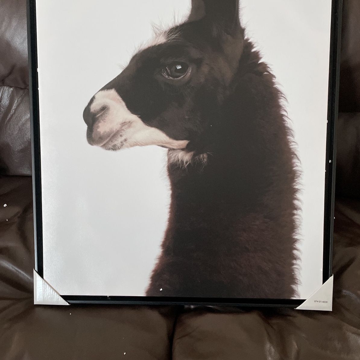 Threshold Llama Framed Printed Wall Canvas