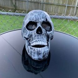 Skull Statue