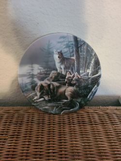 porcelain collectors plate
