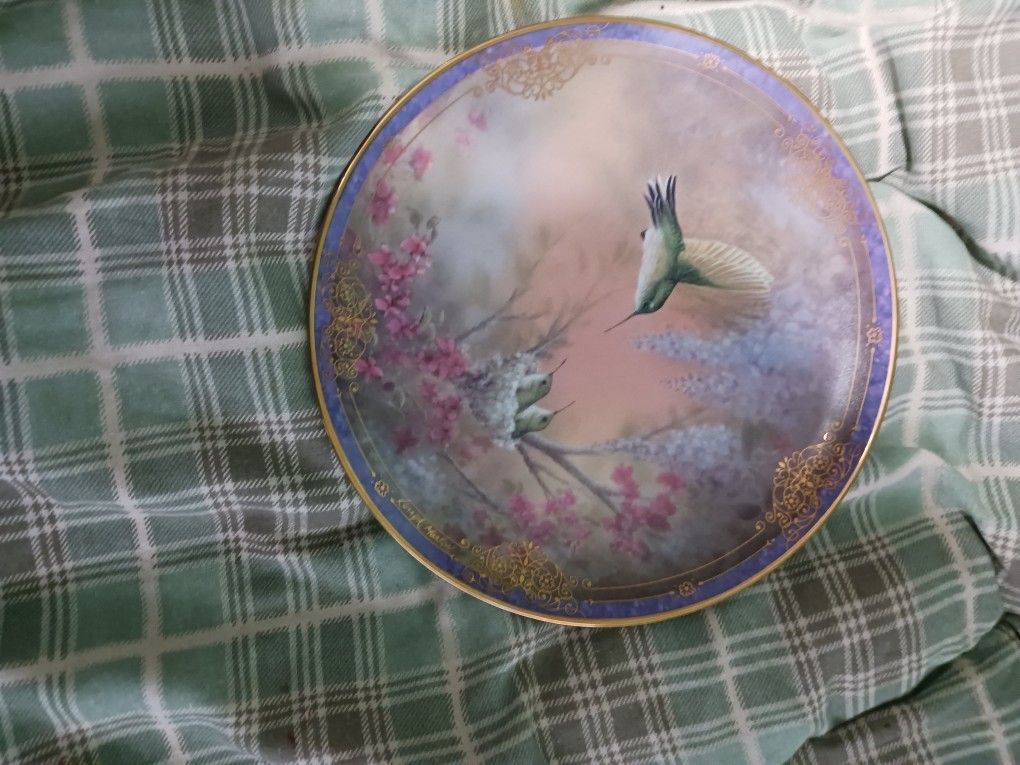 Stunning Hummingbird Collectors Plate