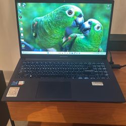 ASUS Vivobook F1502ZA-WH74