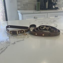 Designer dog Collar And Leash