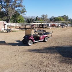 EzeGo Golfcart For Sale