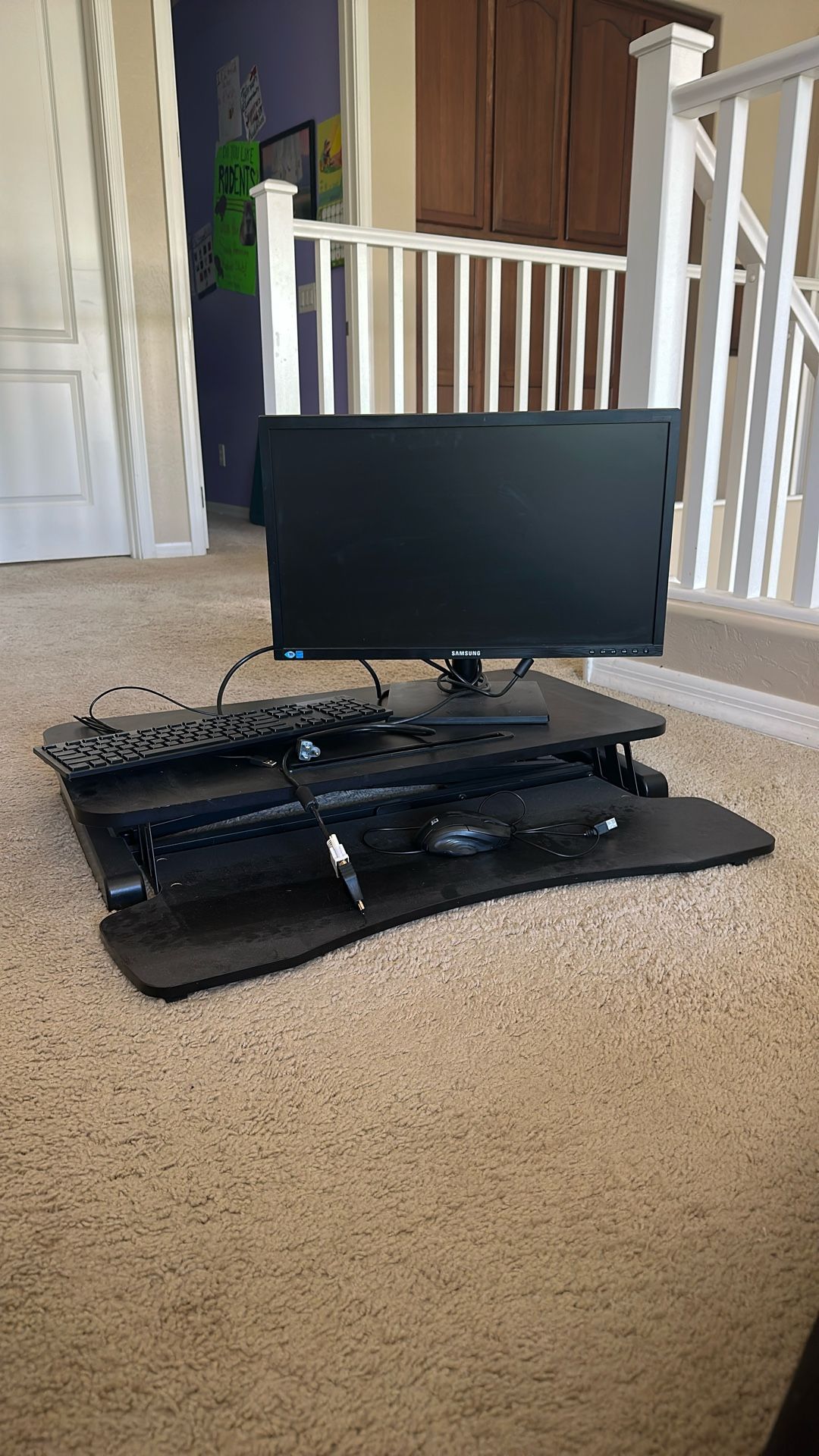 Computer Riser, Samsung Monitor, New Dell Keyboard, Mouse.