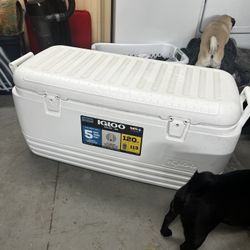 Igloo 250 Qt Cooler