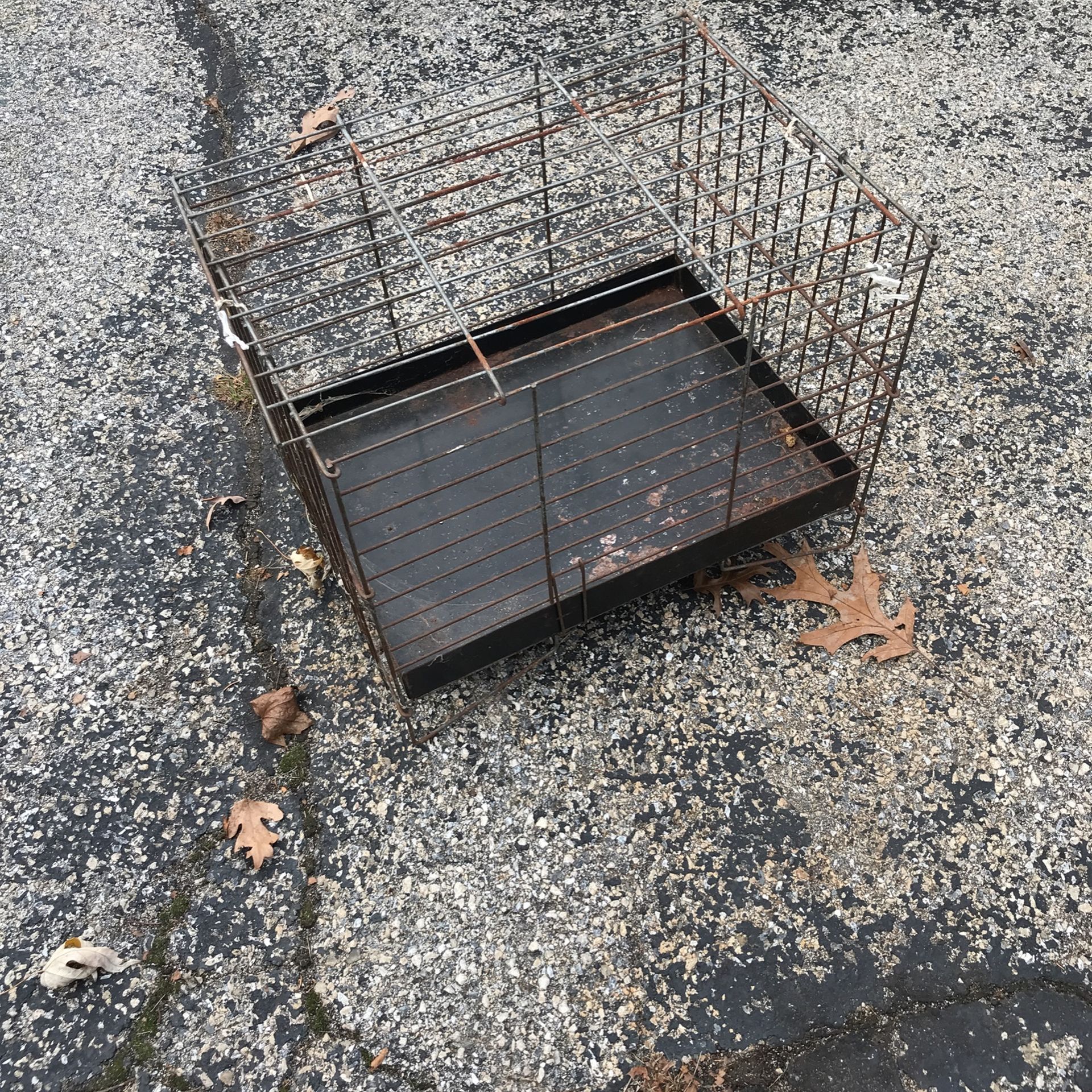 Pet Cage