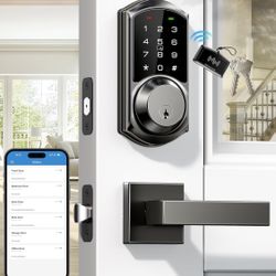 Veise VE06 and VE06L Smart Lockh