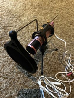 Microphone with filter