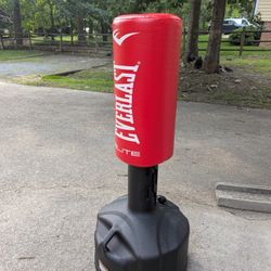 Everlast Elite Heavy Bag