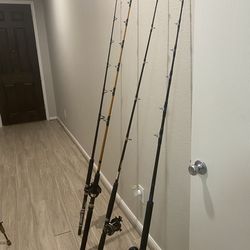 High End Heavy Duty Fishing Rods N Reels