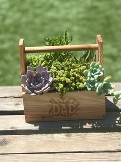 Father’s Day Succulent Gifts