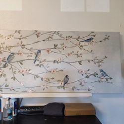 Bird Picture