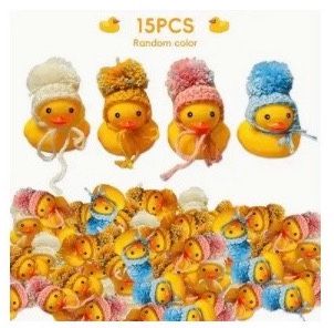 New Stocking Hat Ducks