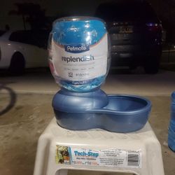 Small Dog Water Bowl