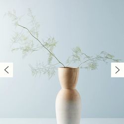 Anthropology Vase
